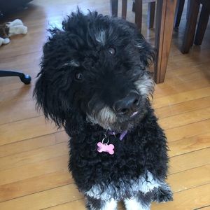 Meet your Posher, Bryan